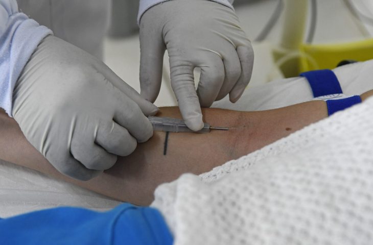 SES divulga nota reforçando vigilância e MS segue sem casos confirmados de hantavirose há 7 anos